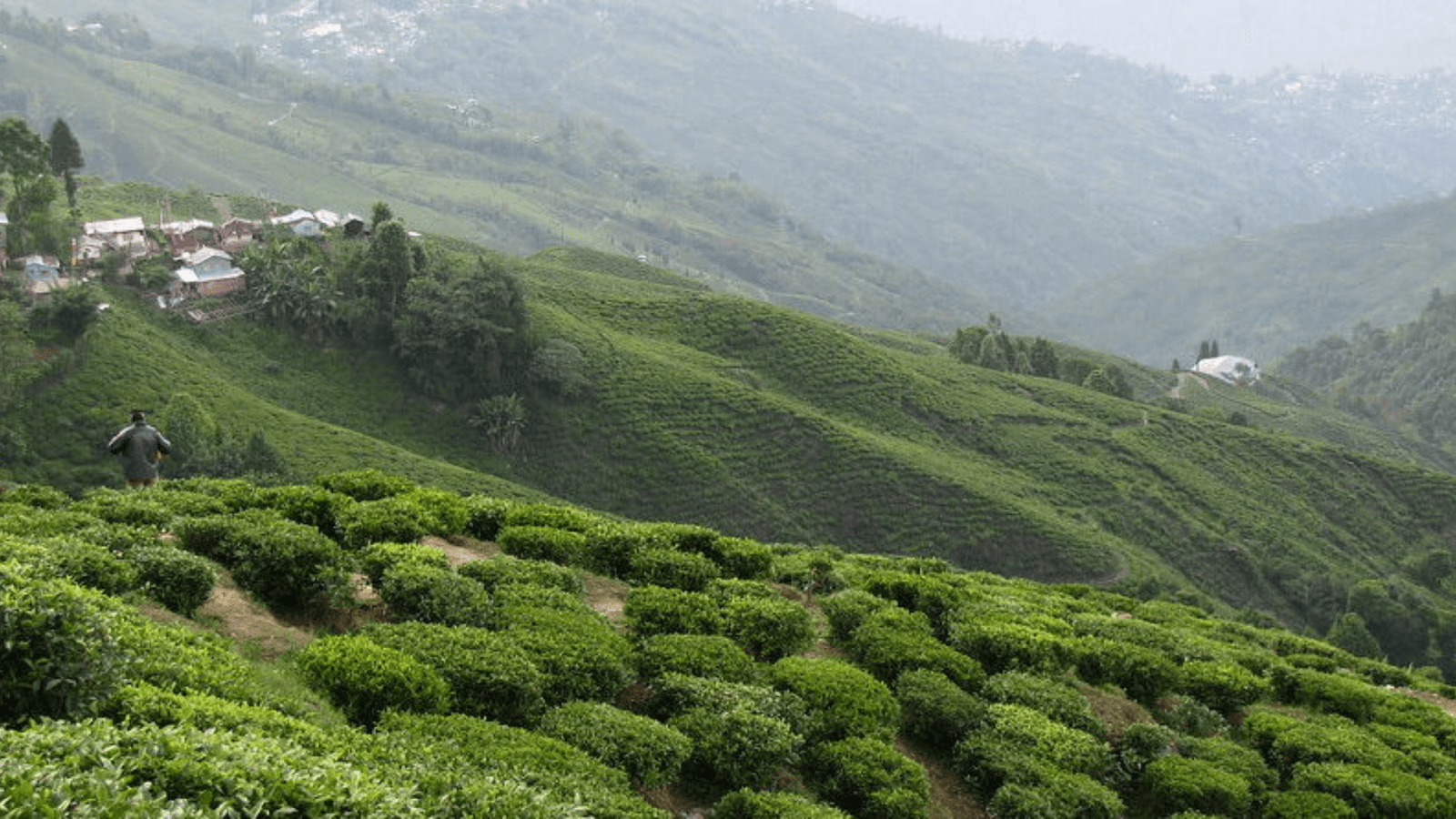20 Must Visit Places in Darjeeling – Explore the Queen of Hills!